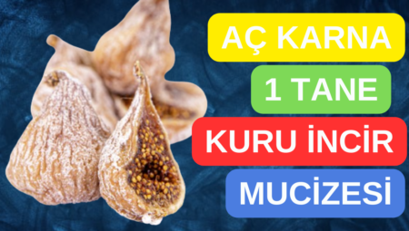 Aç Karnına 1 Tane Kuru İncirin Vücudunuza 10 Faydası